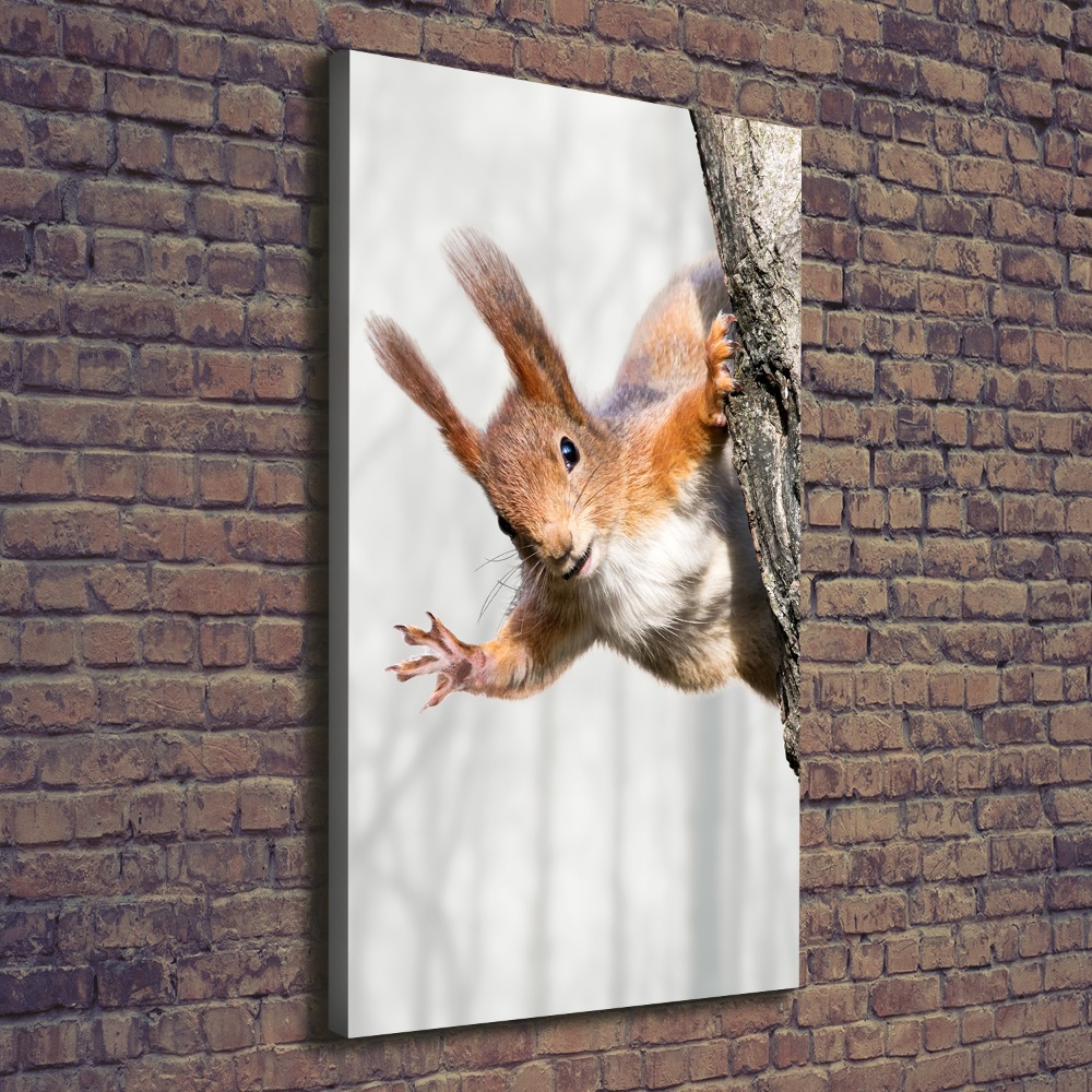 Wall art canvas large Squirrel on a tree