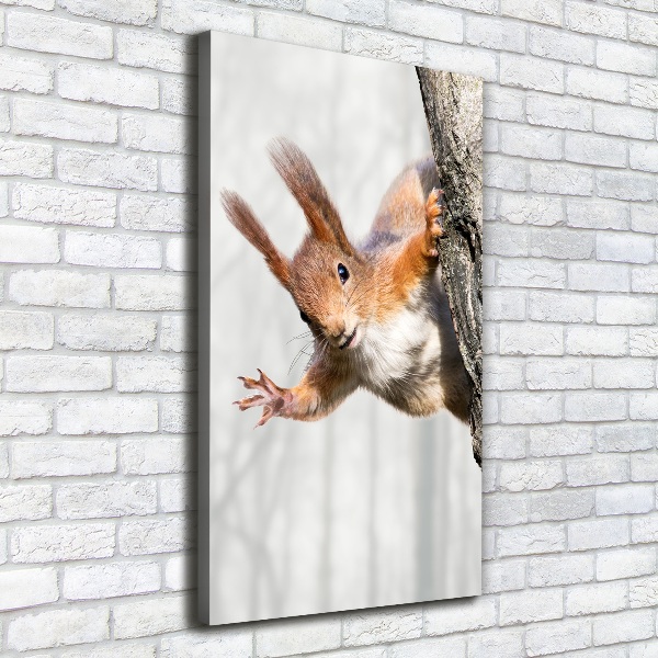 Wall art canvas large Squirrel on a tree