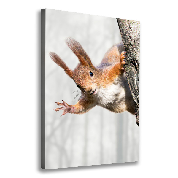 Wall art canvas large Squirrel on a tree