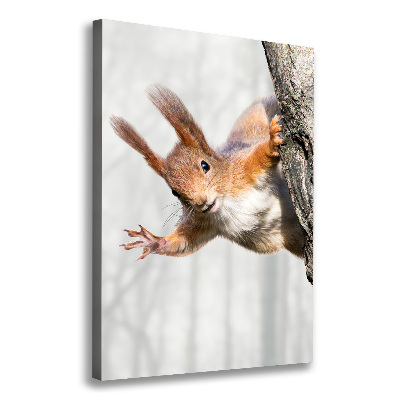 Wall art canvas large Squirrel on a tree