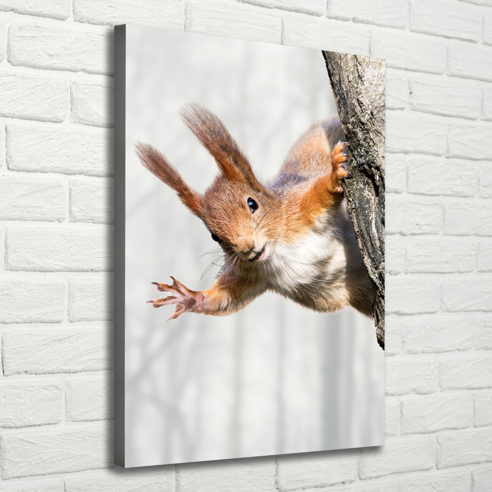 Wall art canvas large Squirrel on a tree