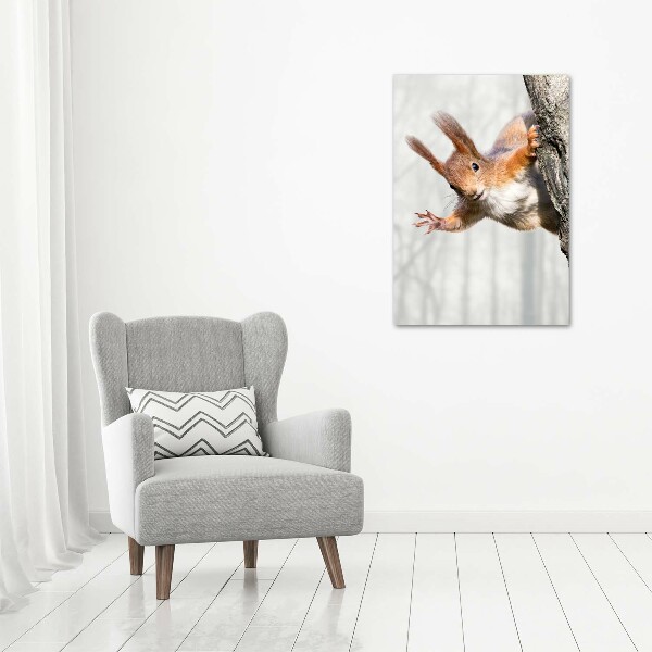 Wall art canvas large Squirrel on a tree