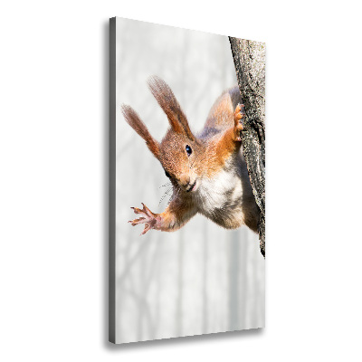 Wall art canvas large Squirrel on a tree