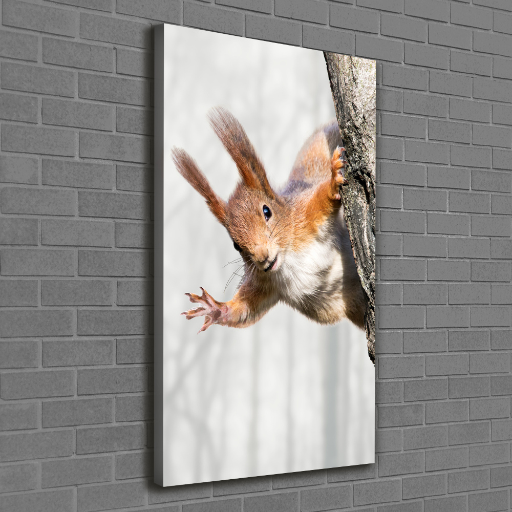 Wall art canvas large Squirrel on a tree