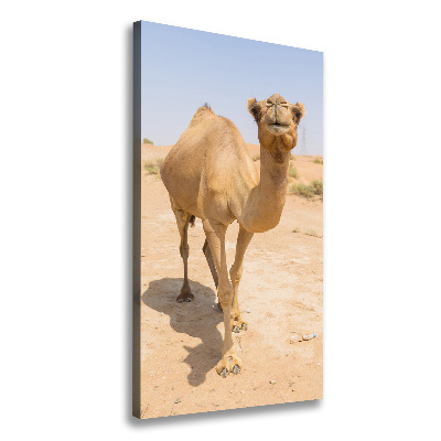 Wall art canvas A camel in the desert