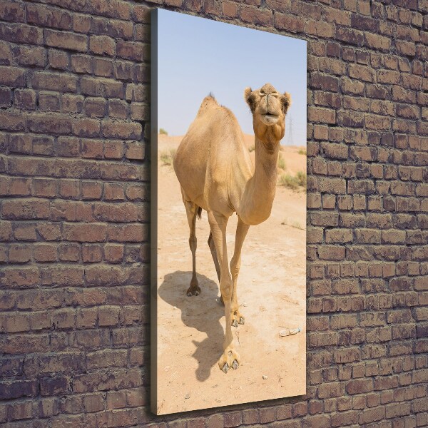 Wall art canvas A camel in the desert