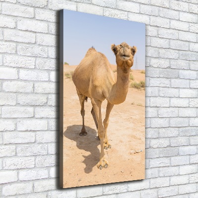 Wall art canvas A camel in the desert