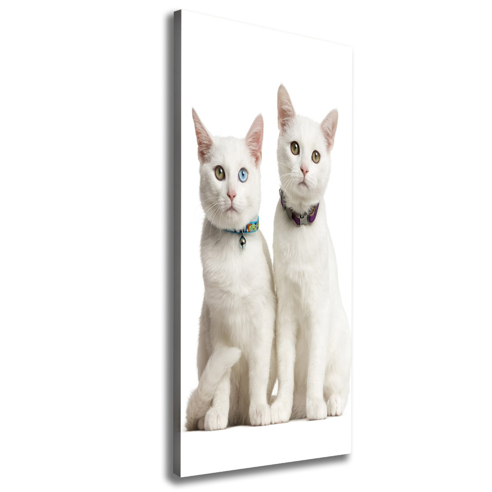 Wall art canvas Two white cats