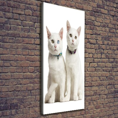 Wall art canvas Two white cats