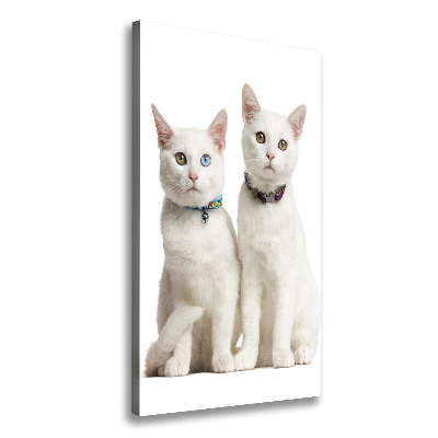 Wall art canvas Two white cats