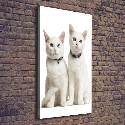 Wall art canvas Two white cats