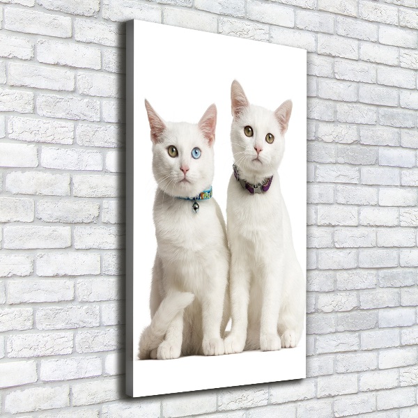 Wall art canvas Two white cats