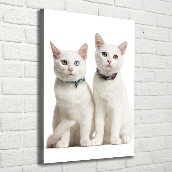 Wall art canvas Two white cats