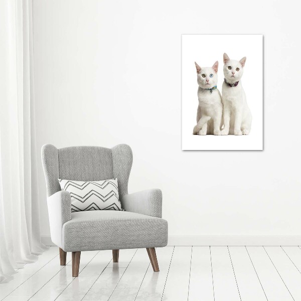 Wall art canvas Two white cats