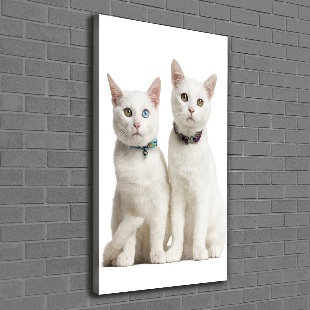 Wall art canvas Two white cats