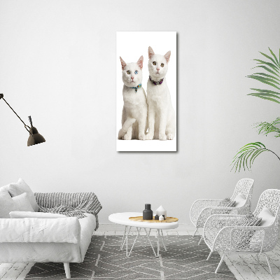 Wall art canvas Two white cats