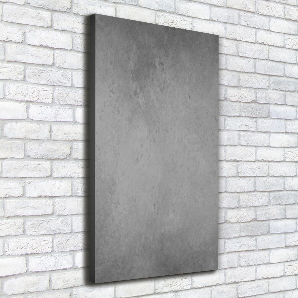 Canvas wall art Concrete background