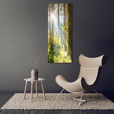 Picture canvas print The sun in the forest