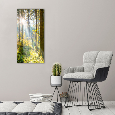 Picture canvas print The sun in the forest