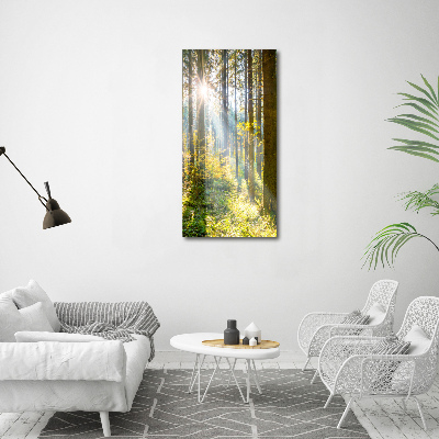 Picture canvas print The sun in the forest