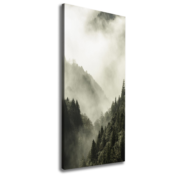 Wall canvas art Fog over the forest