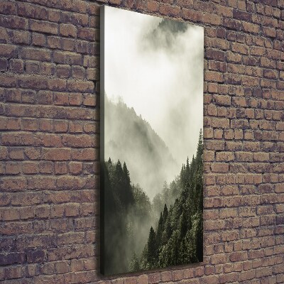 Wall canvas art Fog over the forest