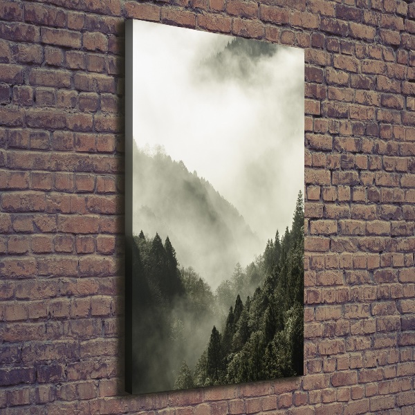 Wall canvas art Fog over the forest