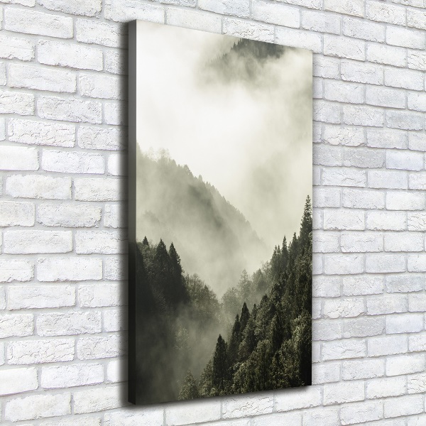 Wall canvas art Fog over the forest