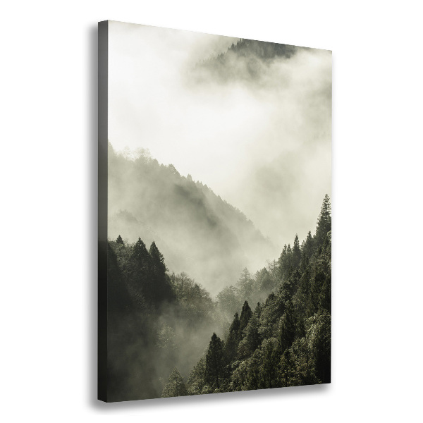 Wall canvas art Fog over the forest