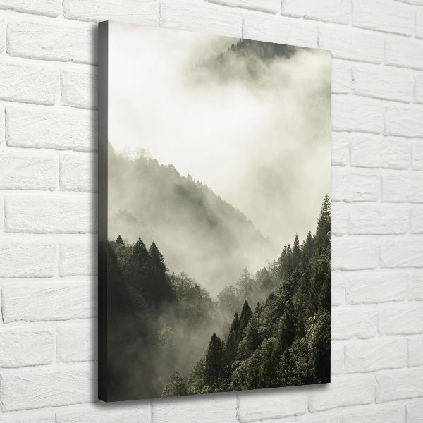 Wall canvas art Fog over the forest