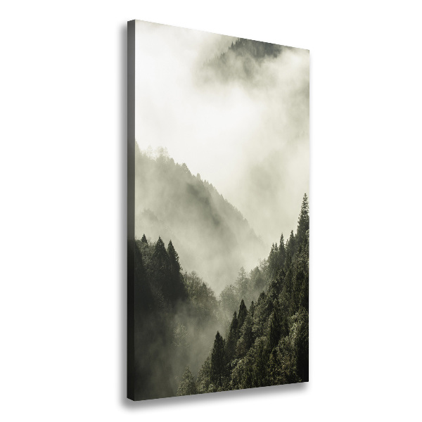 Wall canvas art Fog over the forest