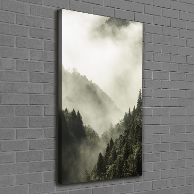 Wall canvas art Fog over the forest