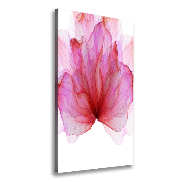 Canvas wall art Pink flower