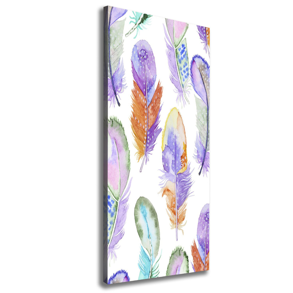 Large canvas wall art Colorful feathers