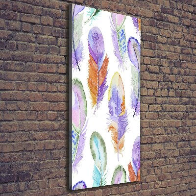 Large canvas wall art Colorful feathers