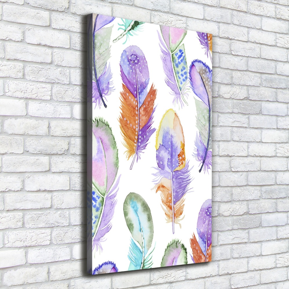 Large canvas wall art Colorful feathers