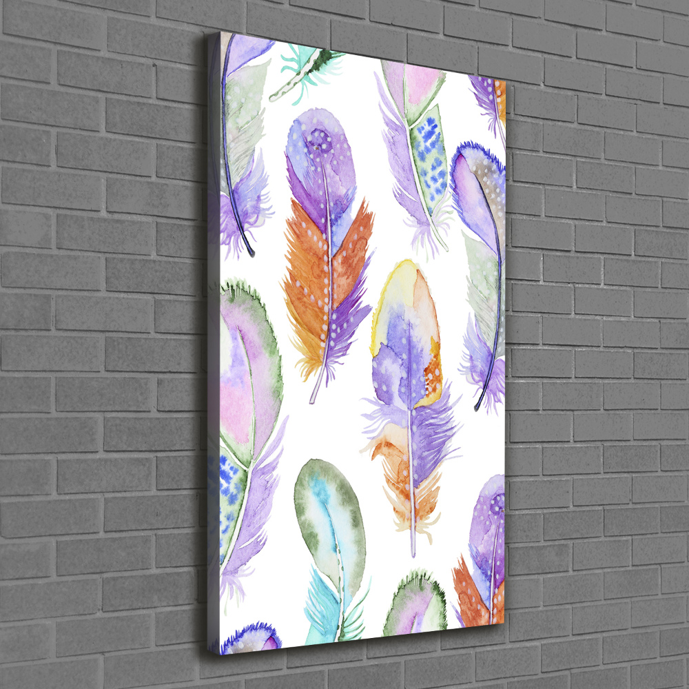 Large canvas wall art Colorful feathers