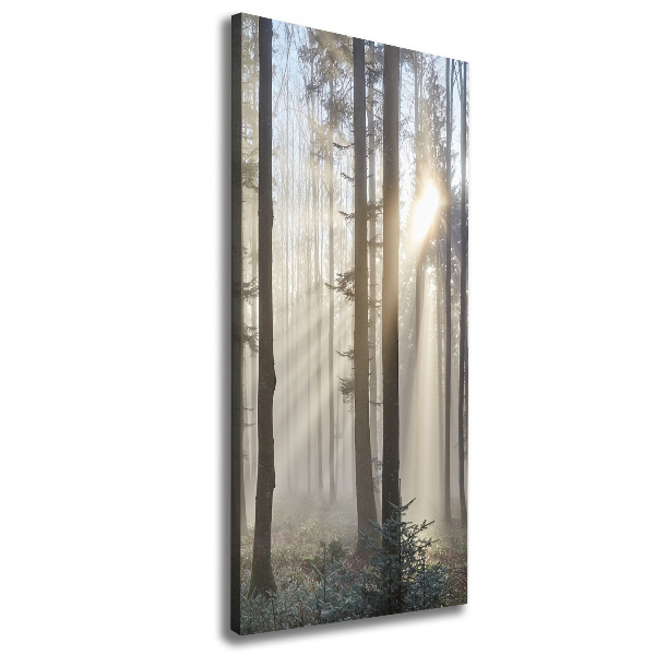 Canvas wall art Fog in the forest