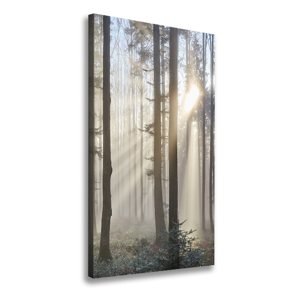 Canvas wall art Fog in the forest