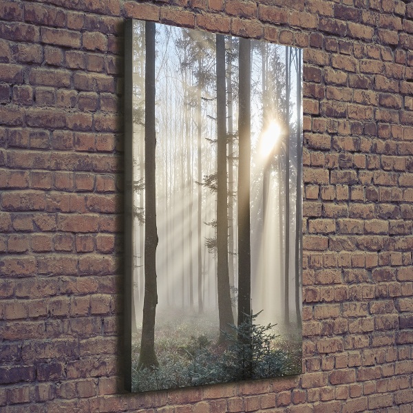 Canvas wall art Fog in the forest