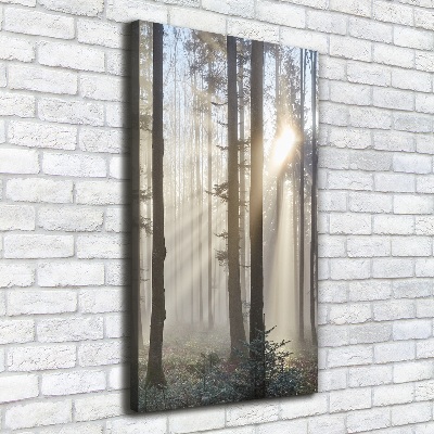 Canvas wall art Fog in the forest