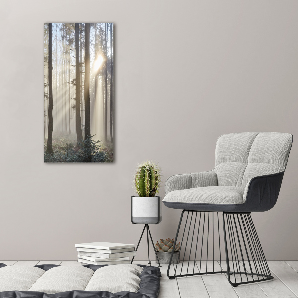 Canvas wall art Fog in the forest