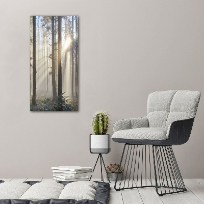 Canvas wall art Fog in the forest