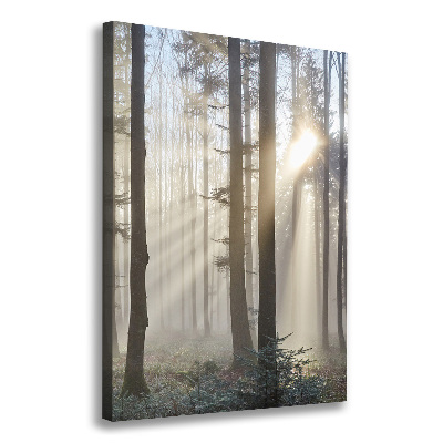 Canvas wall art Fog in the forest