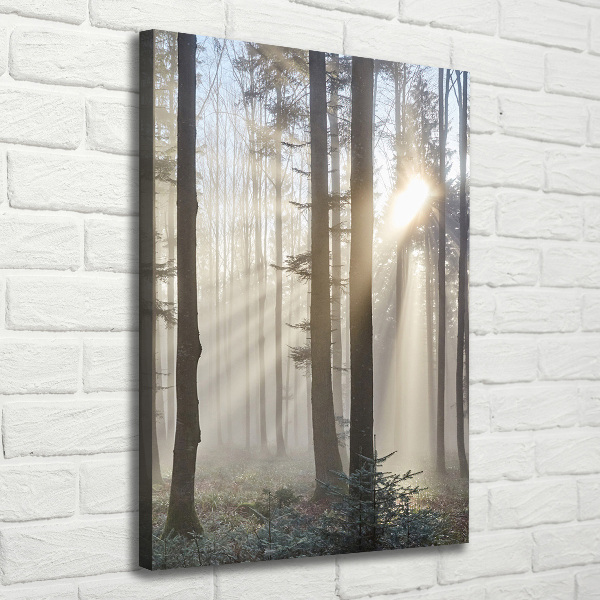 Canvas wall art Fog in the forest