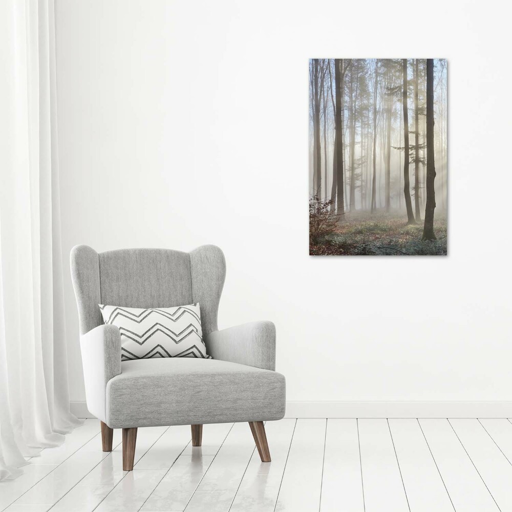 Canvas wall art Fog in the forest