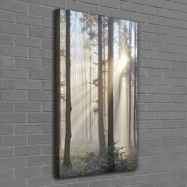 Canvas wall art Fog in the forest