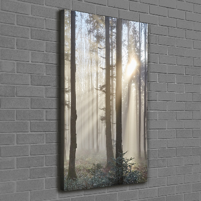 Canvas wall art Fog in the forest