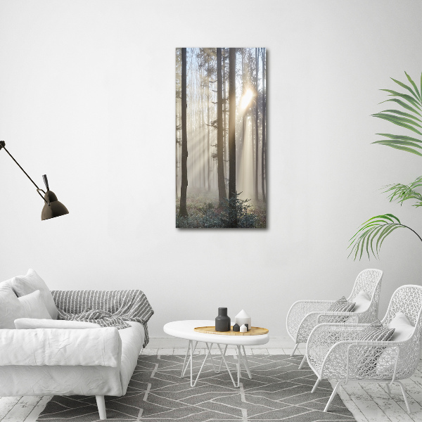 Canvas wall art Fog in the forest