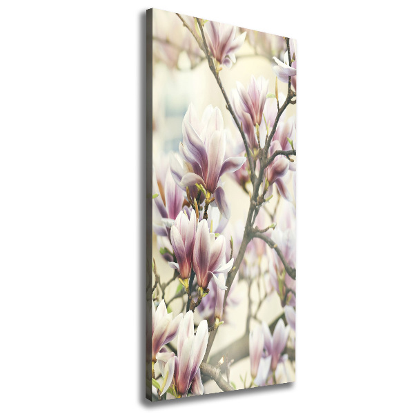 Large canvas wall art Magnolia